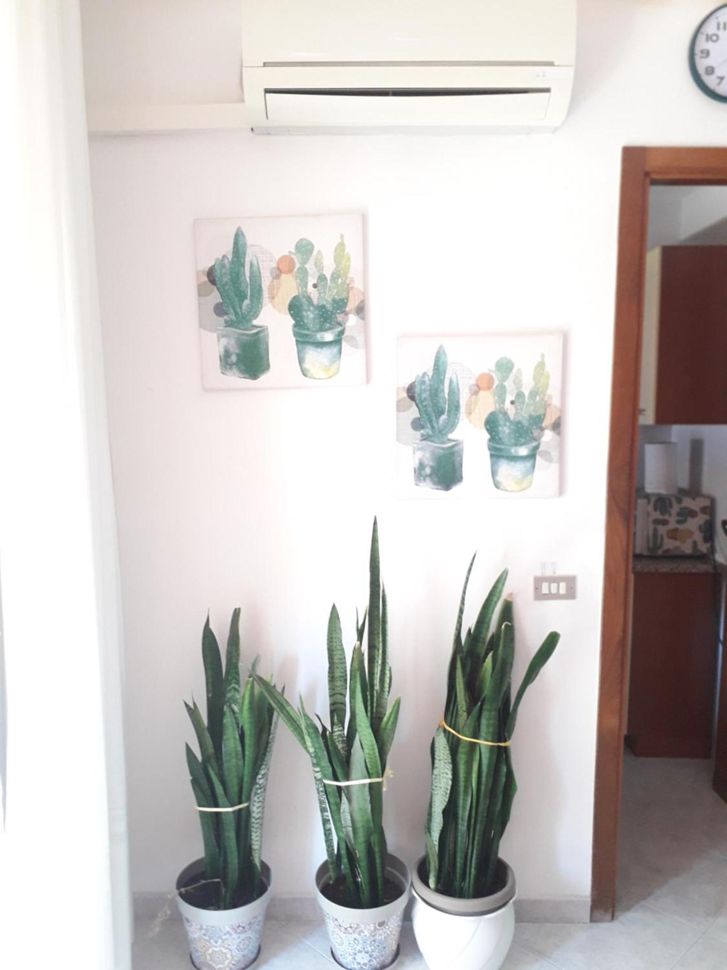 Appartamento Casa D'Annare Casa Santa  Esterno foto
